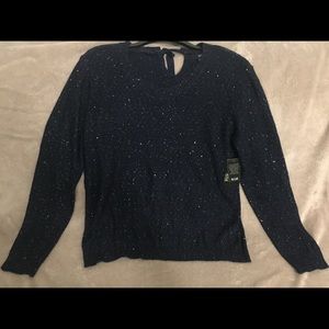 ANA sequin Navy sweater